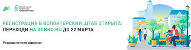Голосование за благоустройство общественных пространств